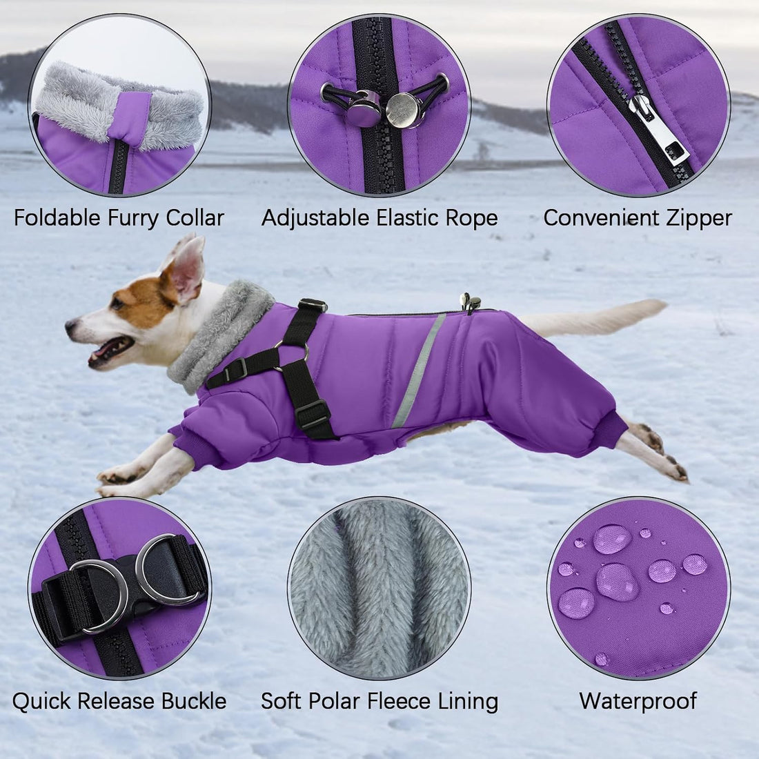 BRKURLEG Purple Dog Coat with Harness, Dog Winter Jacket