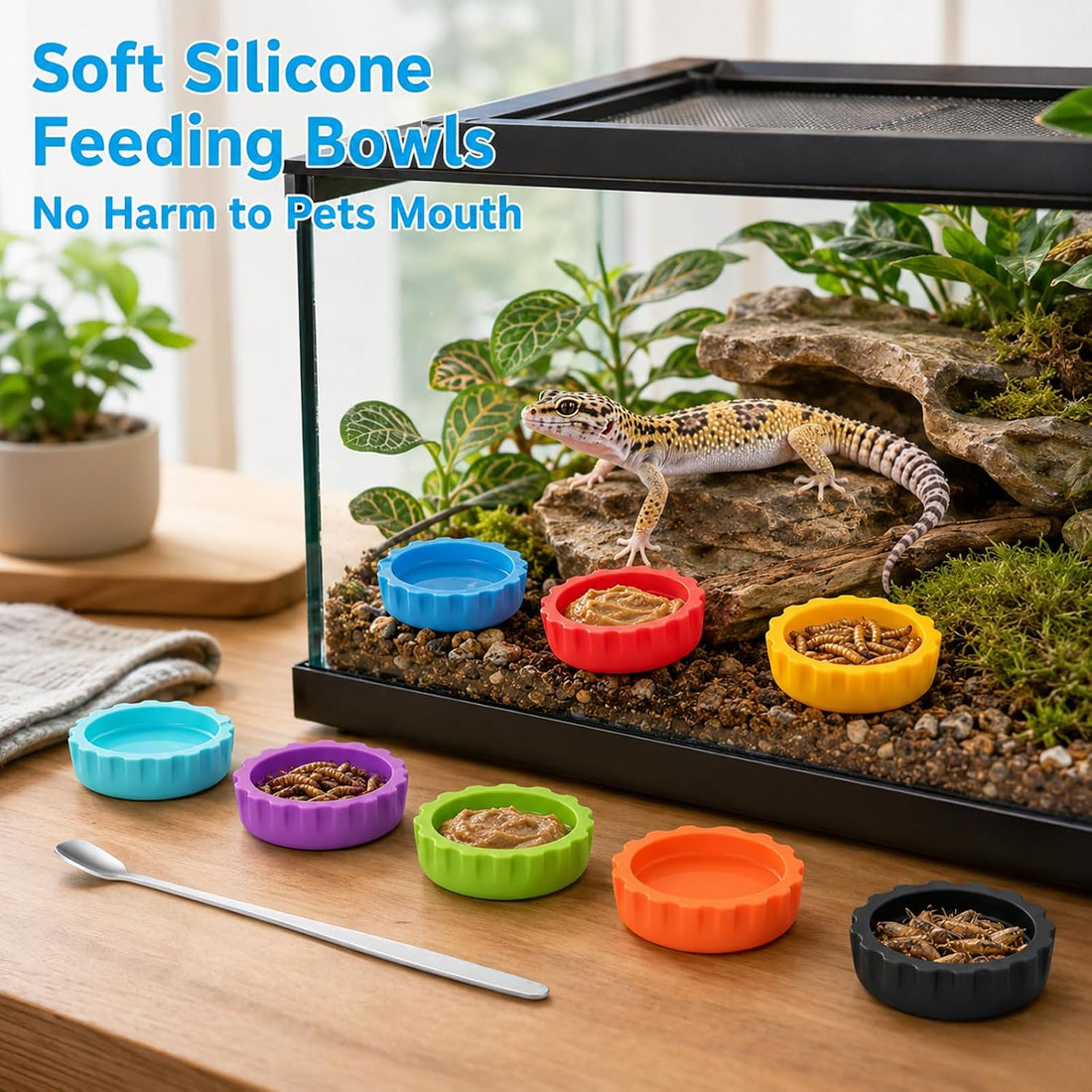 24Pcs Gecko Feeding Bowls Feeding Cups Reptile Food Water Dish
