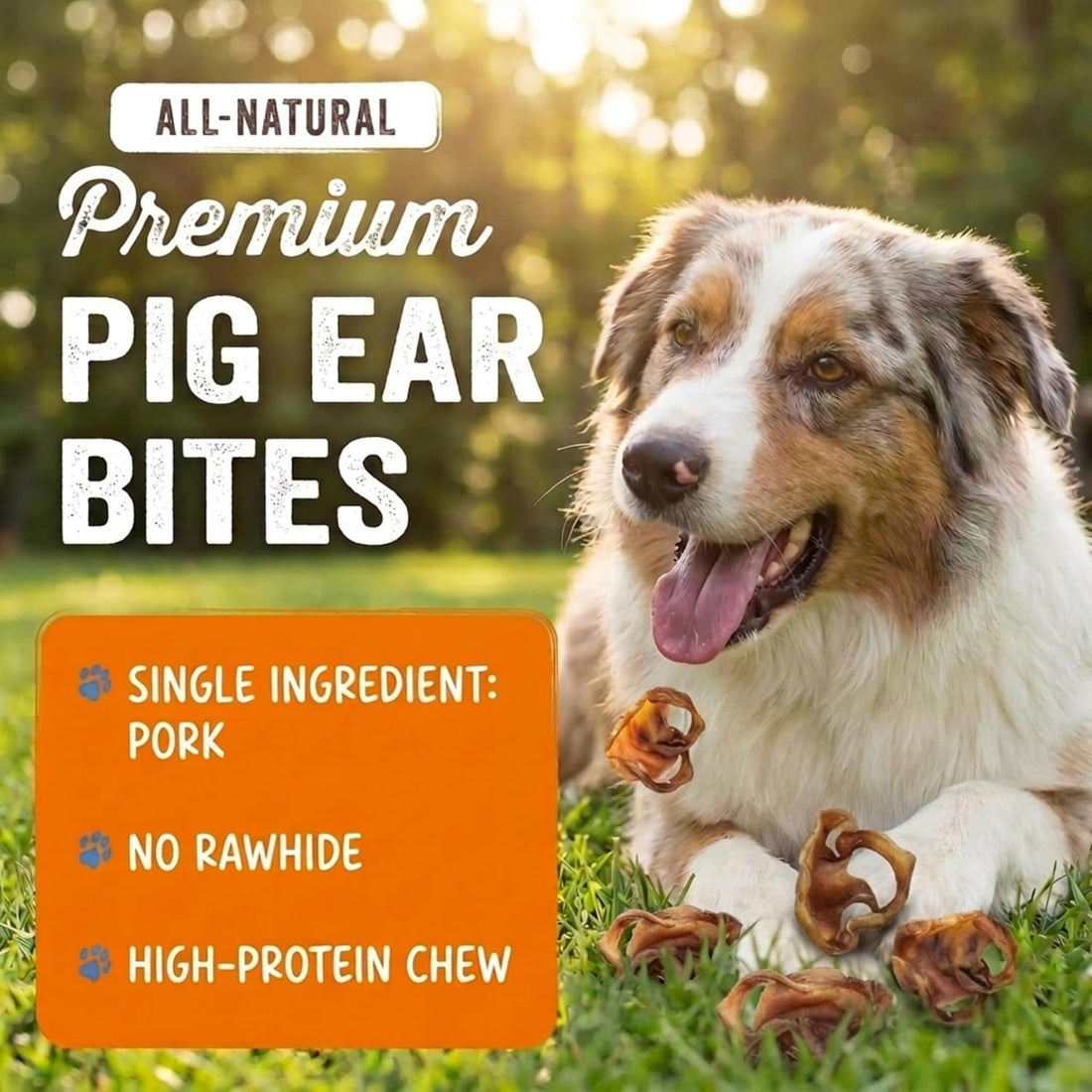 K9warehouse Bulk Pig Ear Bites for Dogs 100% Pork, Rawhide Alternative