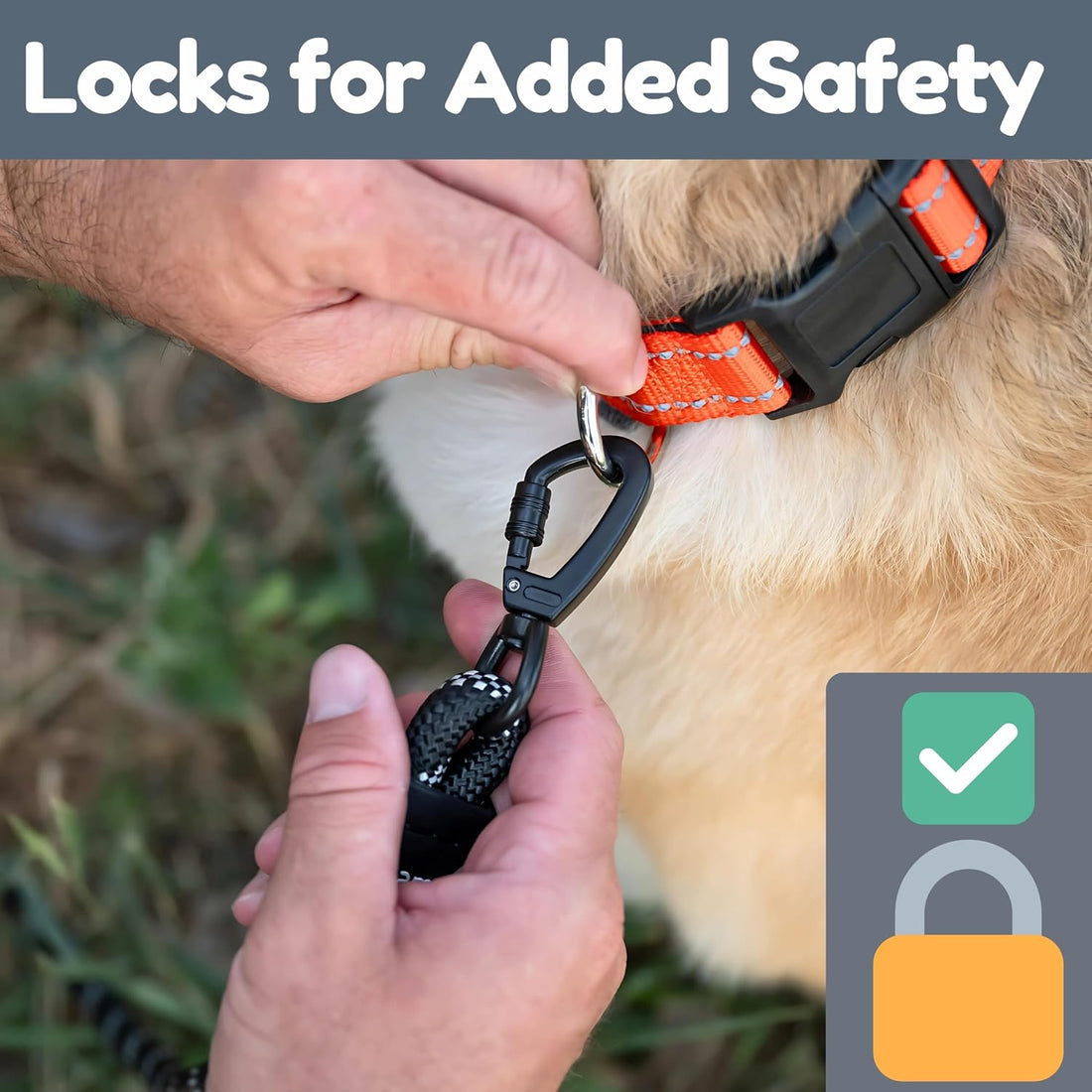 6 Foot Dog Leash, Two Extra Padded Handles, Locking Carabiner Clip