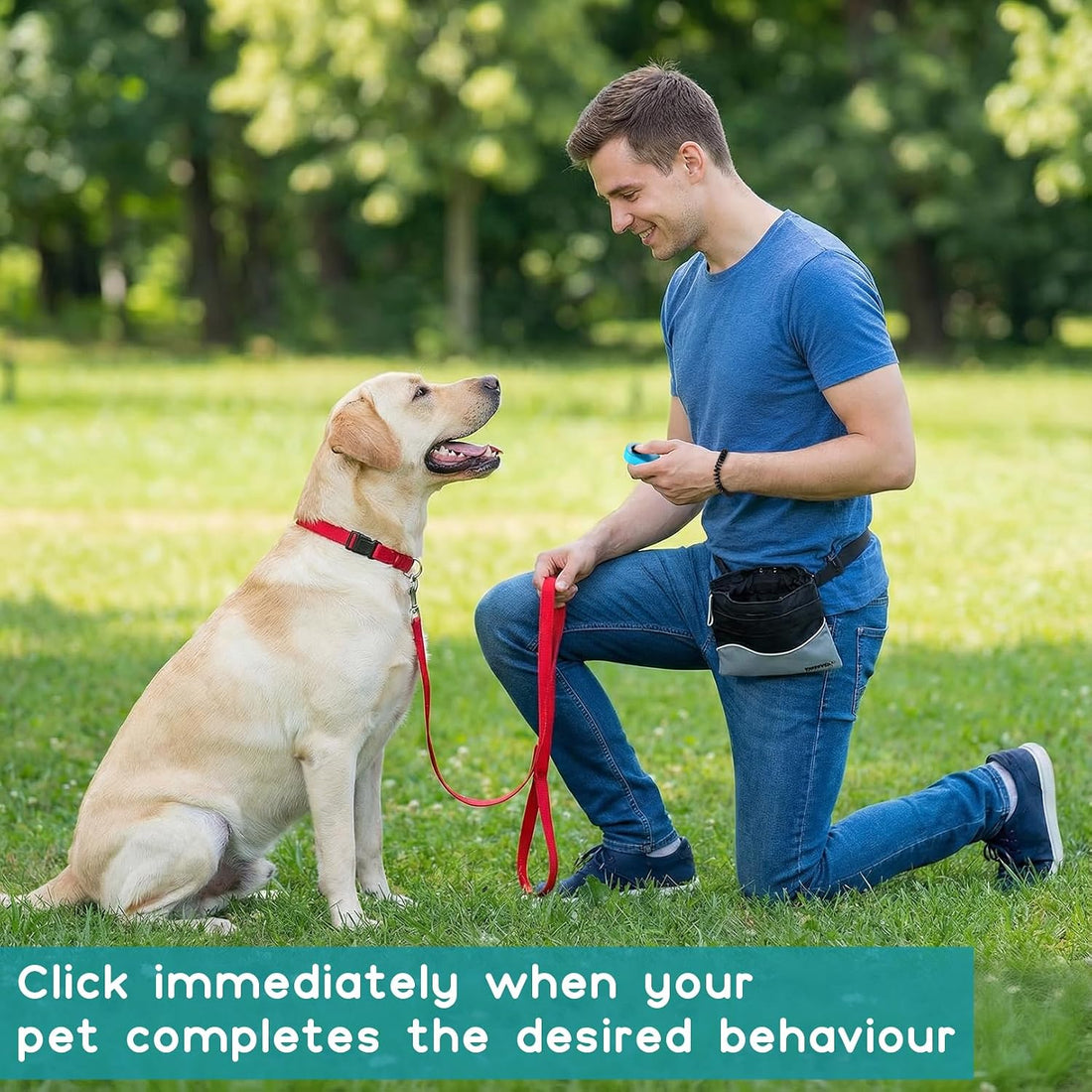 Pet Clicker for Dogs/Cats/Horses/Birds or Other Animals