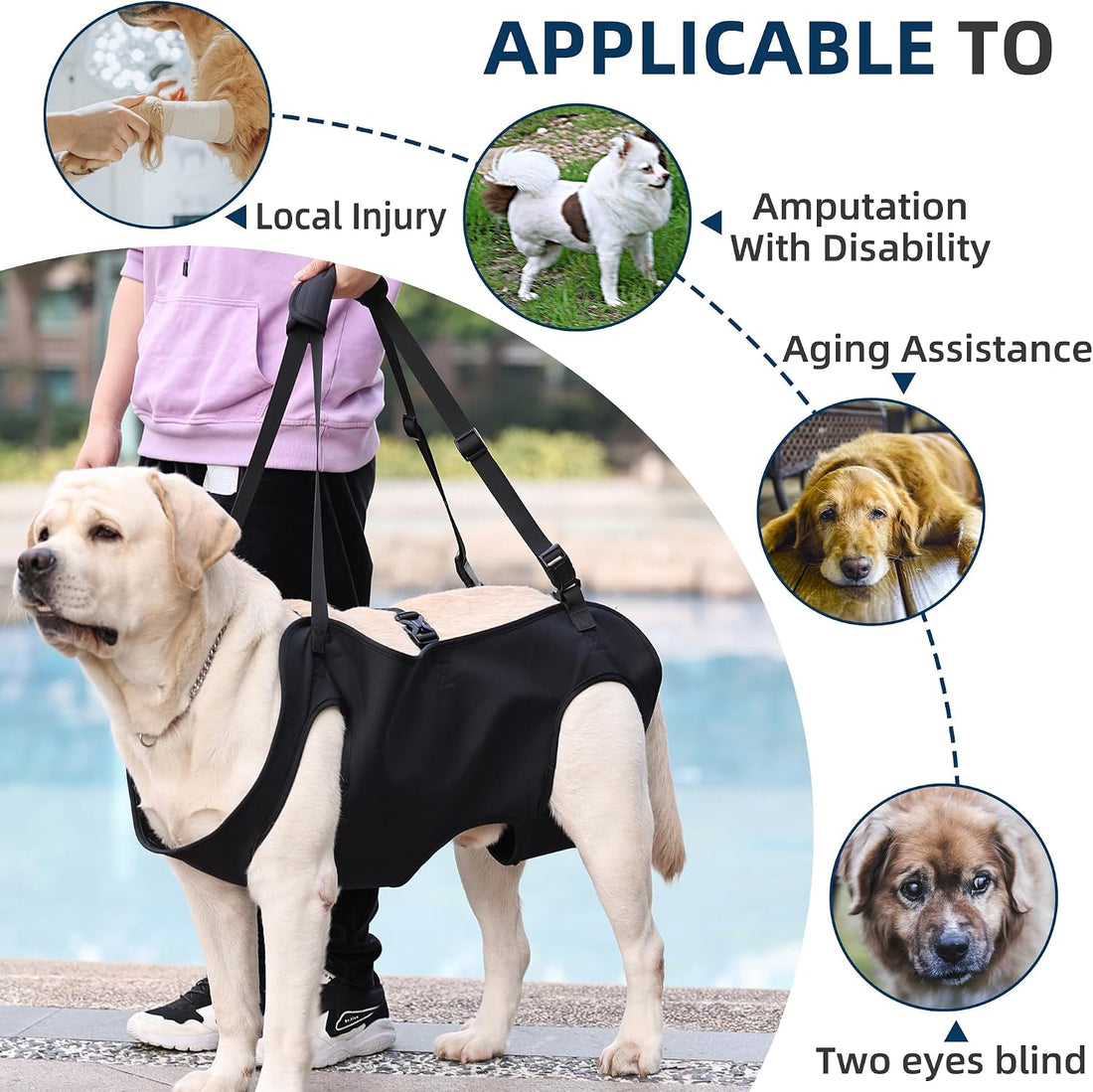 Full Body Lift Harness for Dogs,Canine Support Rehabilitation Dog