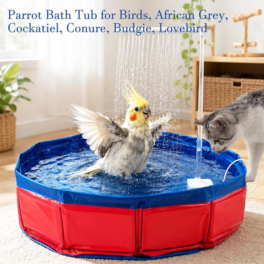 Extra-Large Bird Automatic Bath Shower