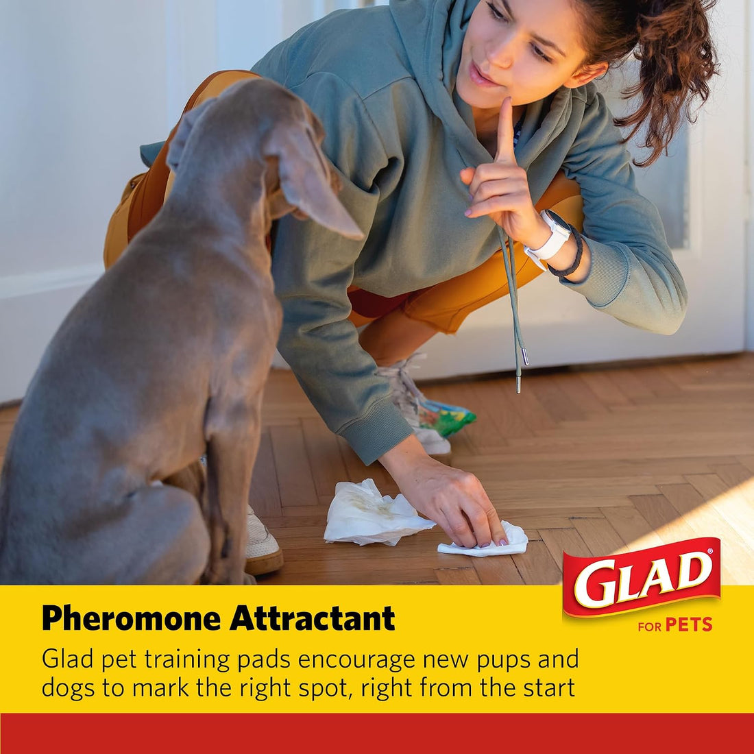 Glad for Pets XL Charcoal Training Pads, Heavy Duty, 24x24 in