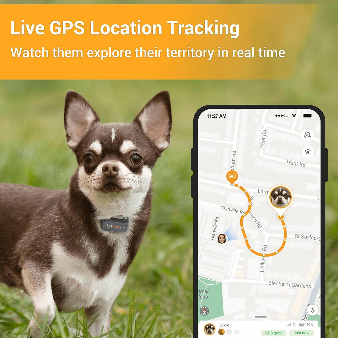 Pawfit Lite 4G GPS Dog Tracker, Live Tracking, Ultra-Light