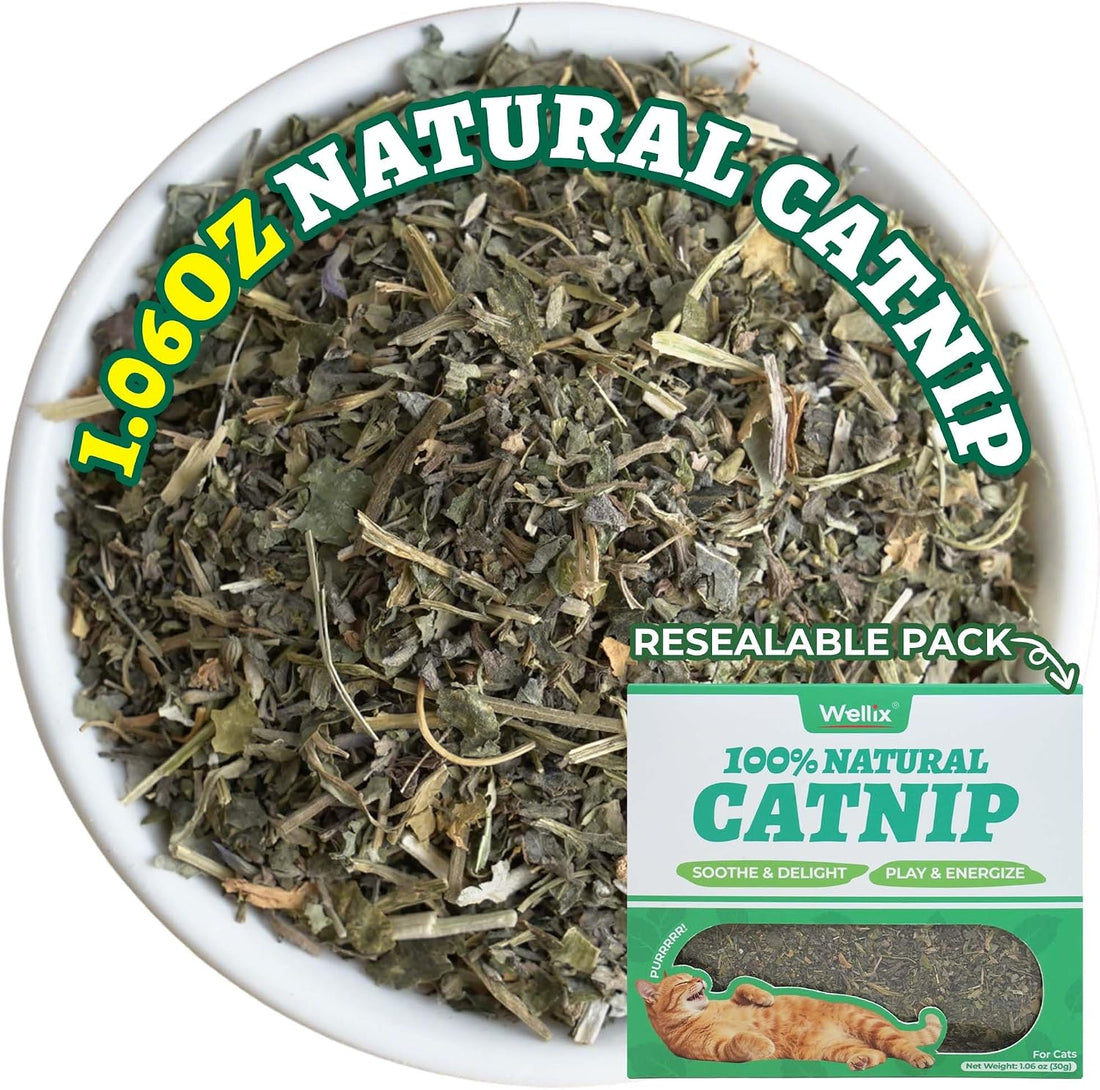 Wellix Fresh Dried Catnip for Cats, Used as Cat Nip Treats, 1.06oz