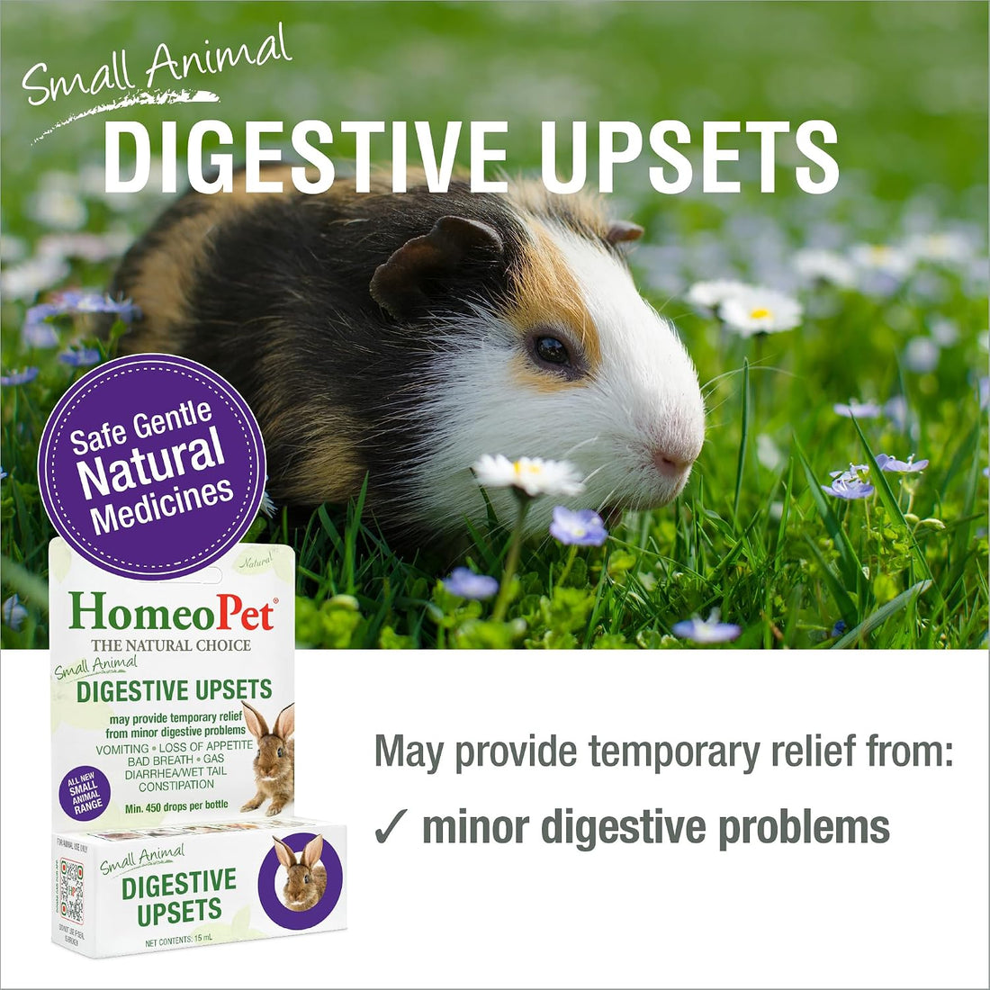HomeoPet Small Animal Digestive Upsets, Supplement for Pets