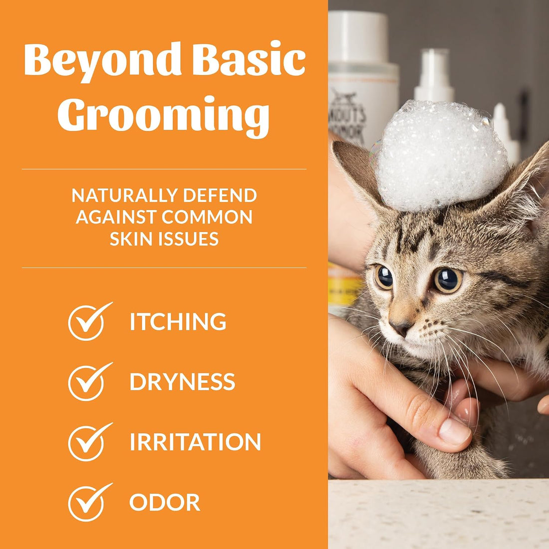 SKOUT'S HONOR Probiotic Cat Shampoo & Conditioner with Avocado Oil