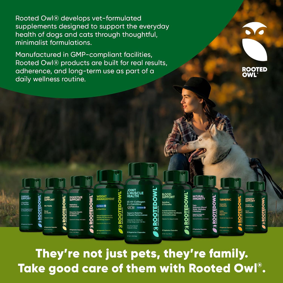 Turmeric for Dogs & Cats Supplement - Anti-Inflammatory Relief