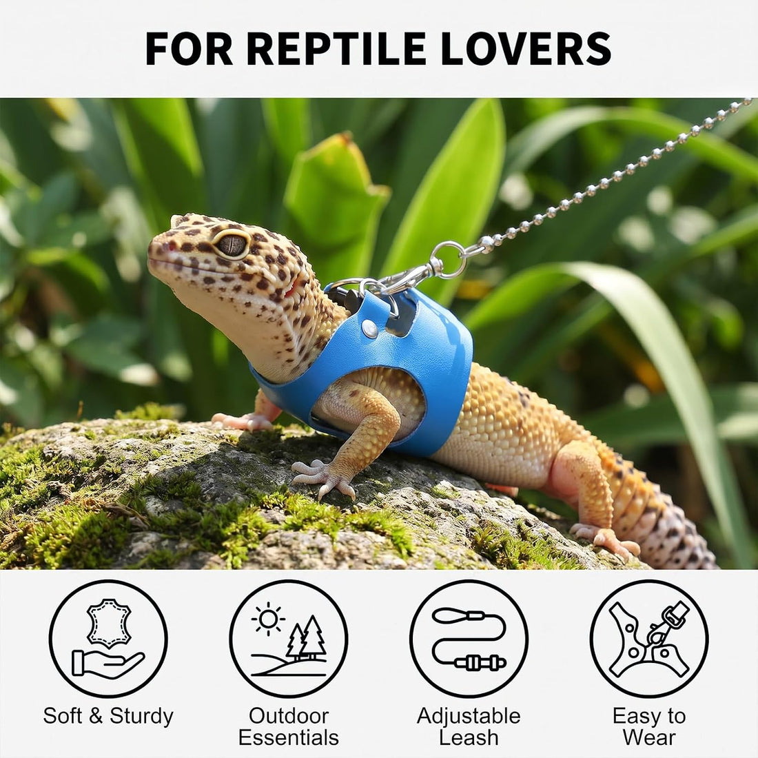 3 Pcs Bearded Dragon Leash and Harness Set 3 Sizes Lizard Harness
