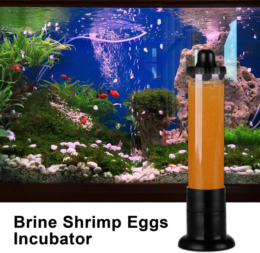 Brine Shrimp Eggs Incubator Hatchery Kit, Fish Tank Hatch Tool
