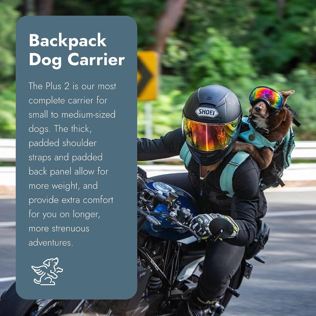 K9 Sport Sack Plus 2 - Medium, Summer Mint
