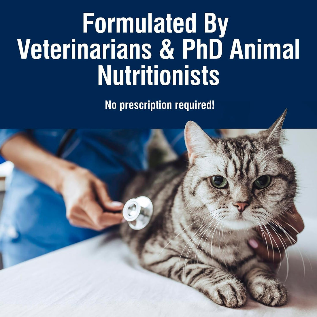Blue Buffalo True Solutions Digestive Care Chicken Cat Food, 3 oz