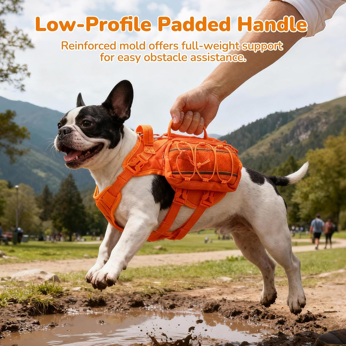 Large Dog Harness Backpack, No Pull Adjustable Dog Vest with Handle