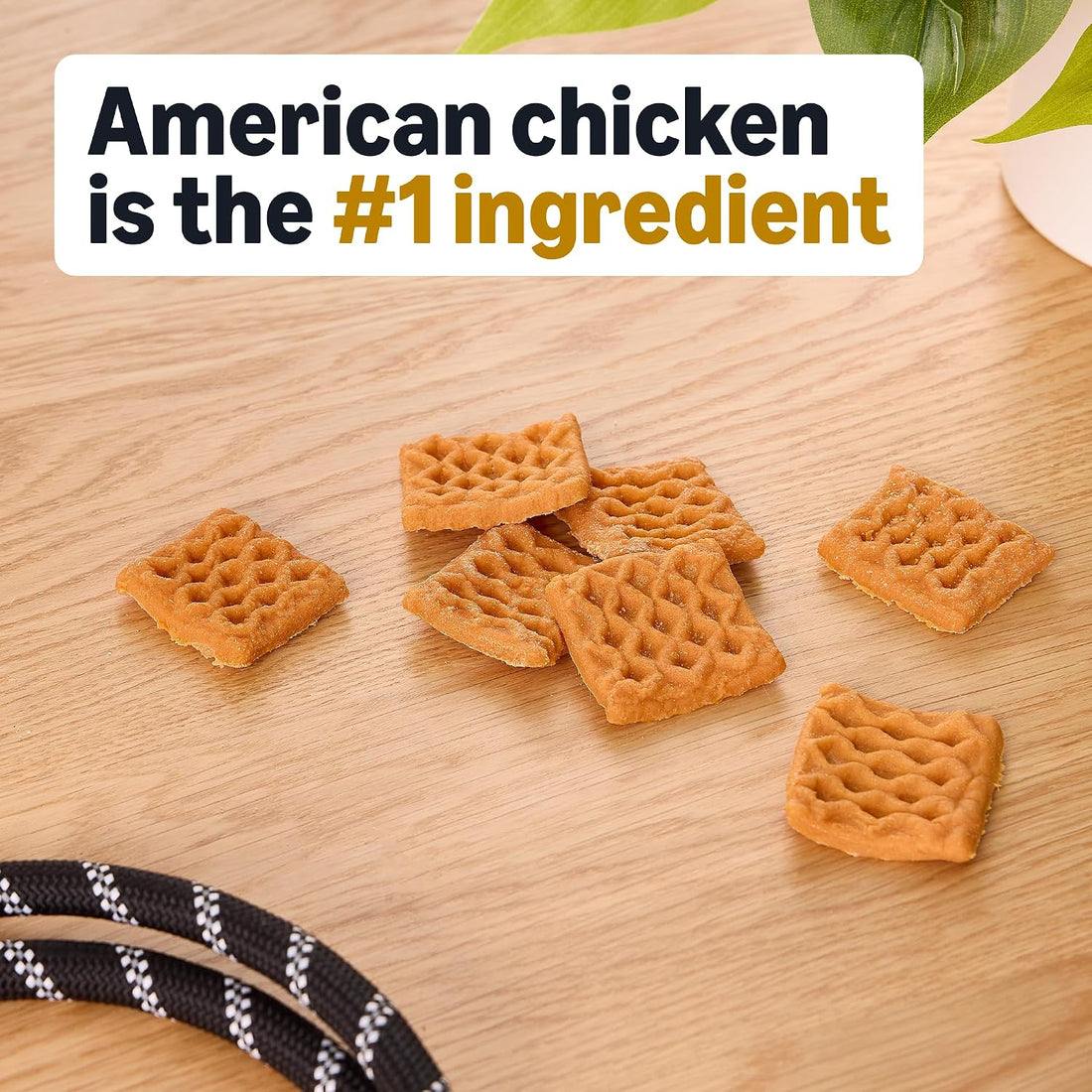 Basics Dog Treats Chicken and Waffle Bites 12oz (Previously Wag)