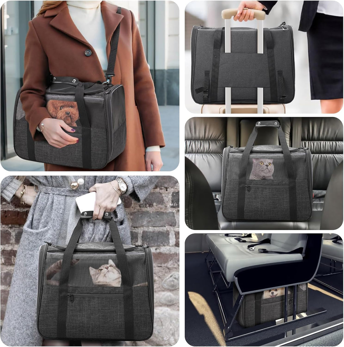JUNGYOUN Premium Cat Carrier