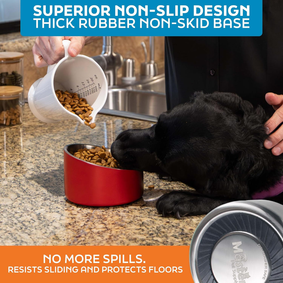 Master Pet Supply Stainless Steel Slanted Dog Cat Food Bowl