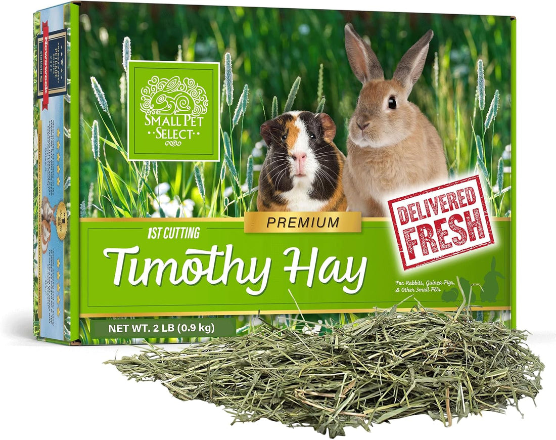 Small Pet Select 1st Cutting Timothy Hay for Rabbits & Guinea Pigs