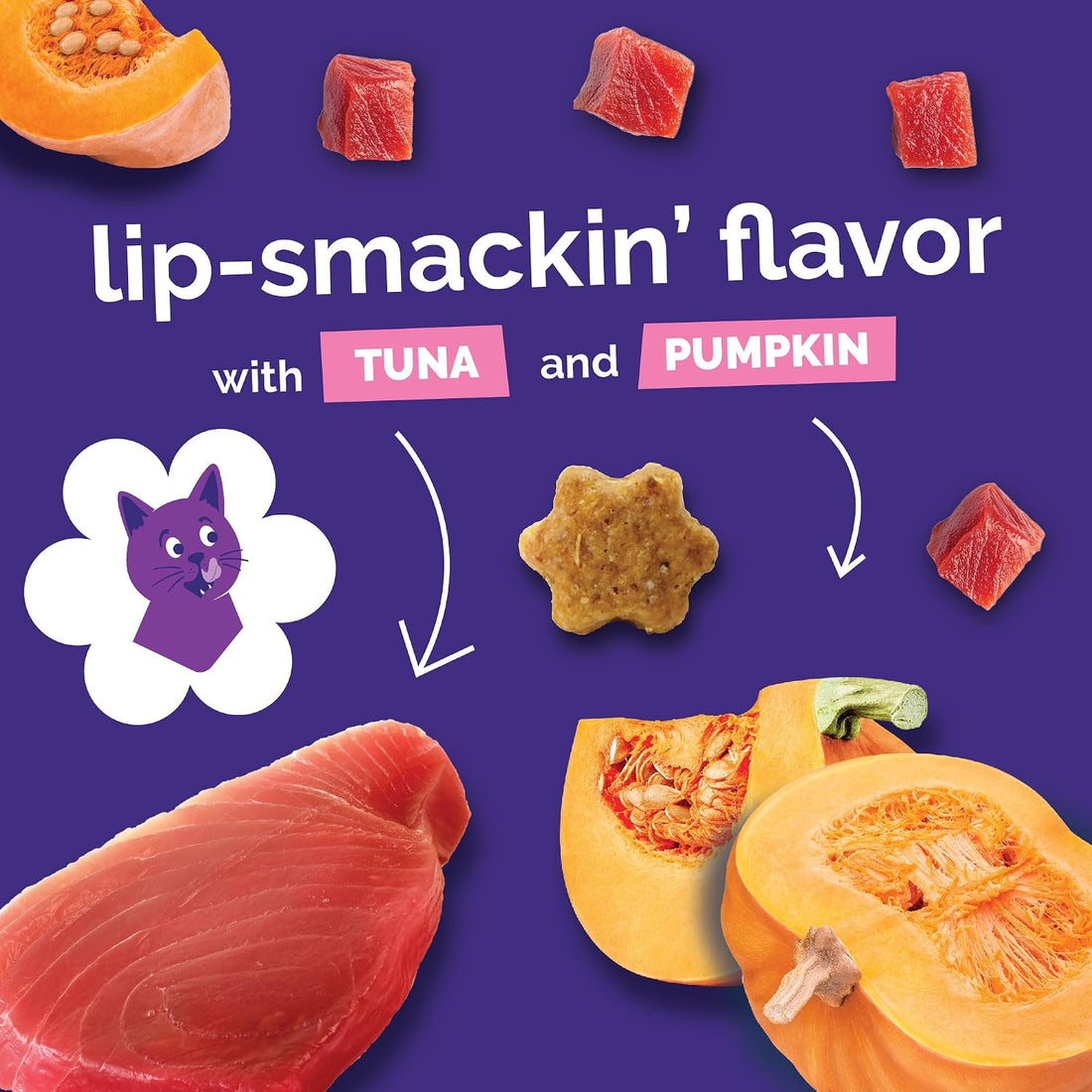 Fruitables Cat Treats - Crunchy Treats for Cats