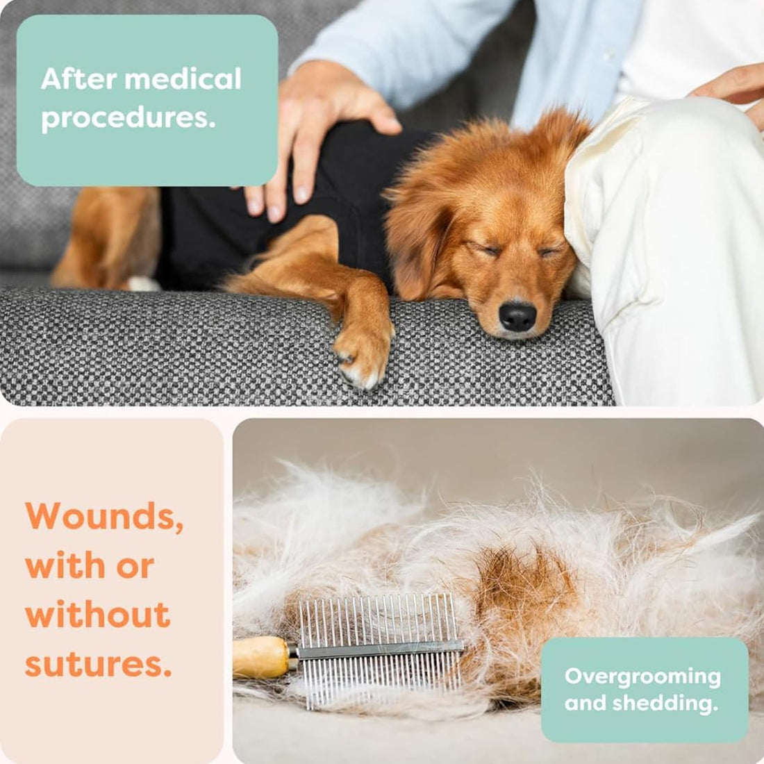 Suitical Recovery Suit for Dogs
