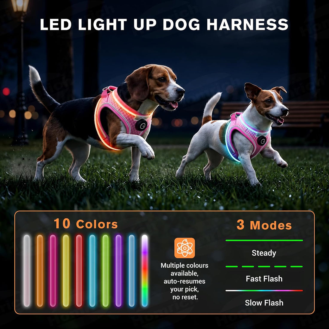 LED Dog Harness for Small Dogs Nighttime Safety Walks