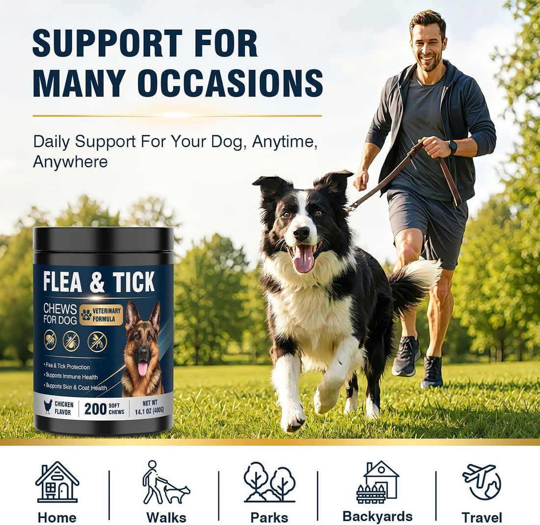 200 Soft Chews Flea and Tick Protection for Dogs Chewable-Natural