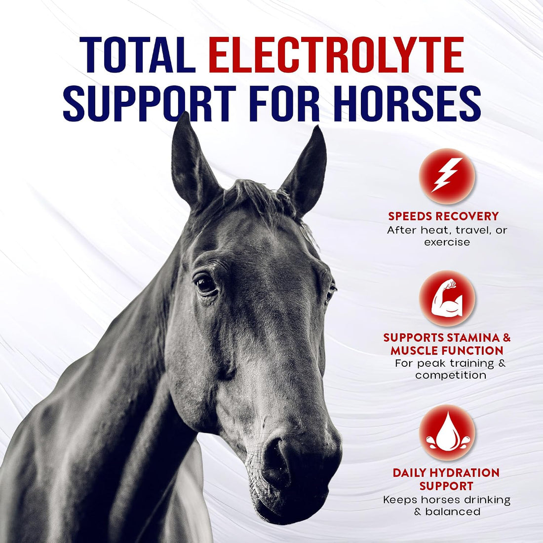 Horse Electrolytes Powder, Tasty Equine Hydration, Just Add to Water
