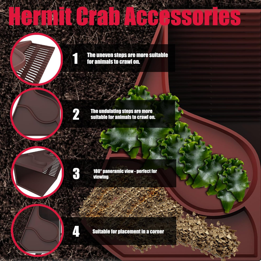 Hermit Crab Accessories | Hermit Crab Climbing Toys with Climbing Wall