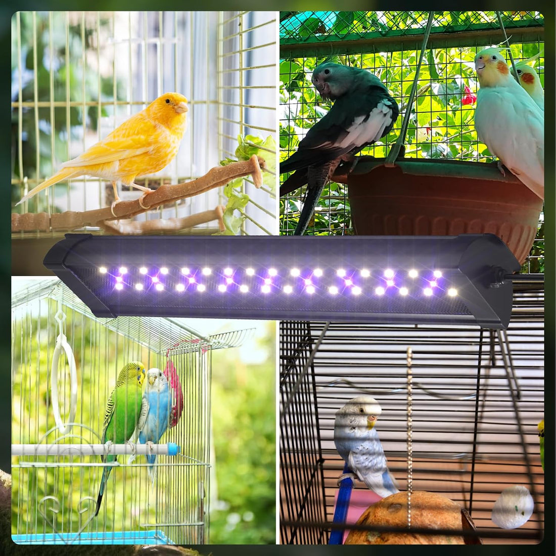Tobebright UVB 2.4 Bird Cage Light, Full Spectrum Light for Birds