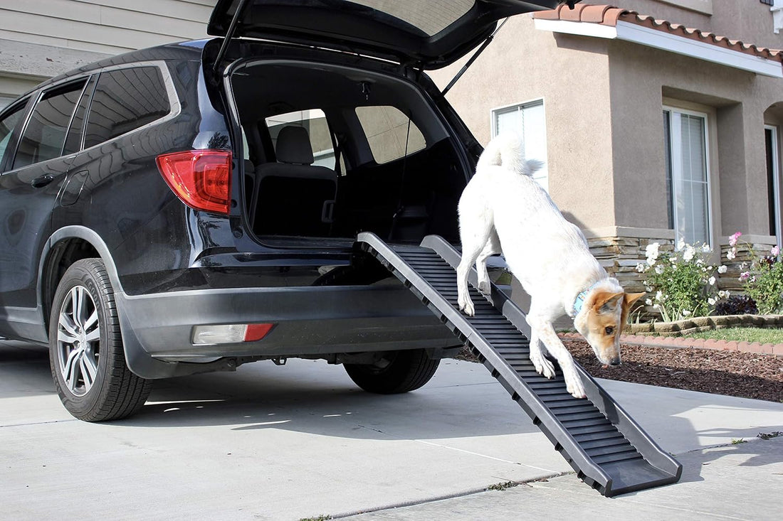 PawStep 61" Folding Pet Ramp, Portable Dog Ramp for Cars, SUVs