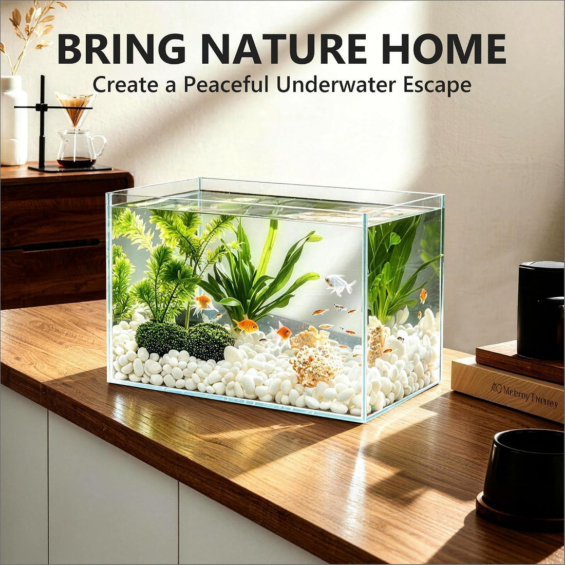 Hjarta 3 Gallons Fish Tank, Ultra-Clear Rimless Aquarium