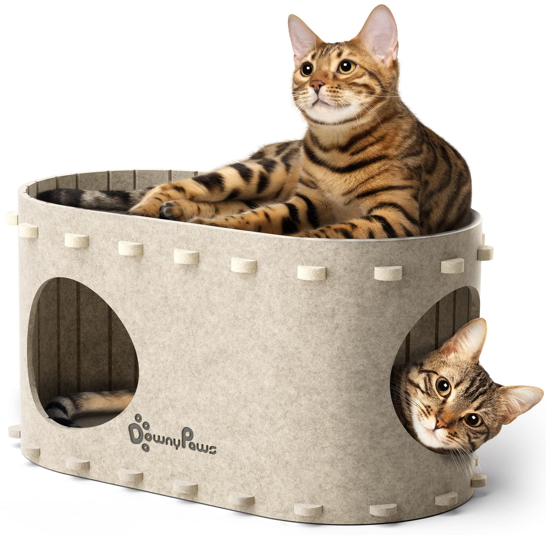 DownyPaws Cat House for Indoor Cats