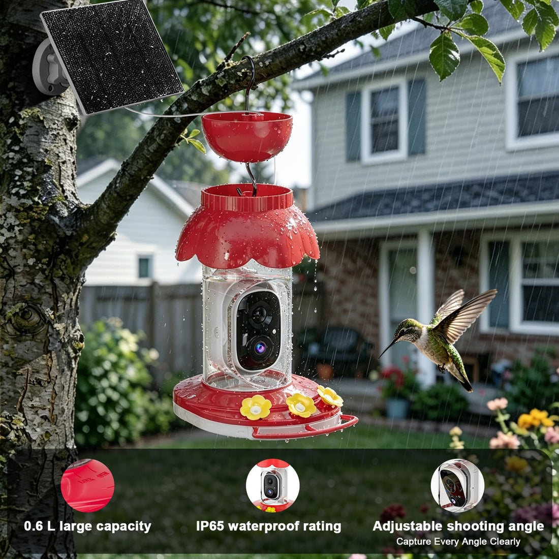 Hummingbird Feeder with Camera,2K FHD Live View & Auto Capture Bird