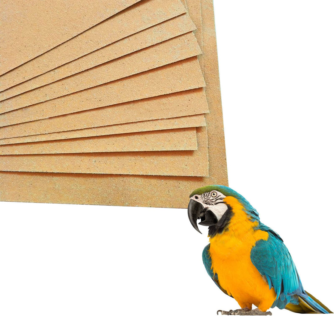 20 Pack Gravel Paper for Bird Cage