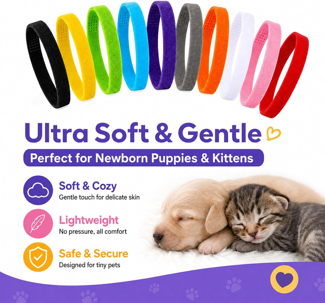10 PCS Puppy Whelping Collars Set