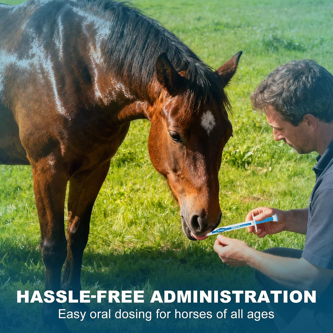 12 Pack Ivermectin Horse Paste 1.87%