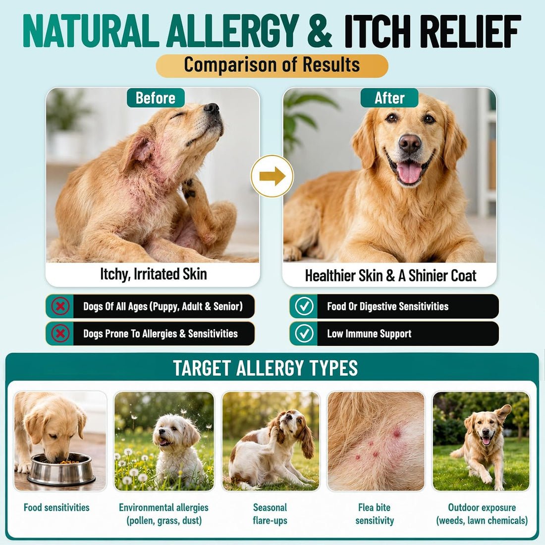 Dog Allergy Chews is Human Grade Itch Relief Multivitamin & Immune