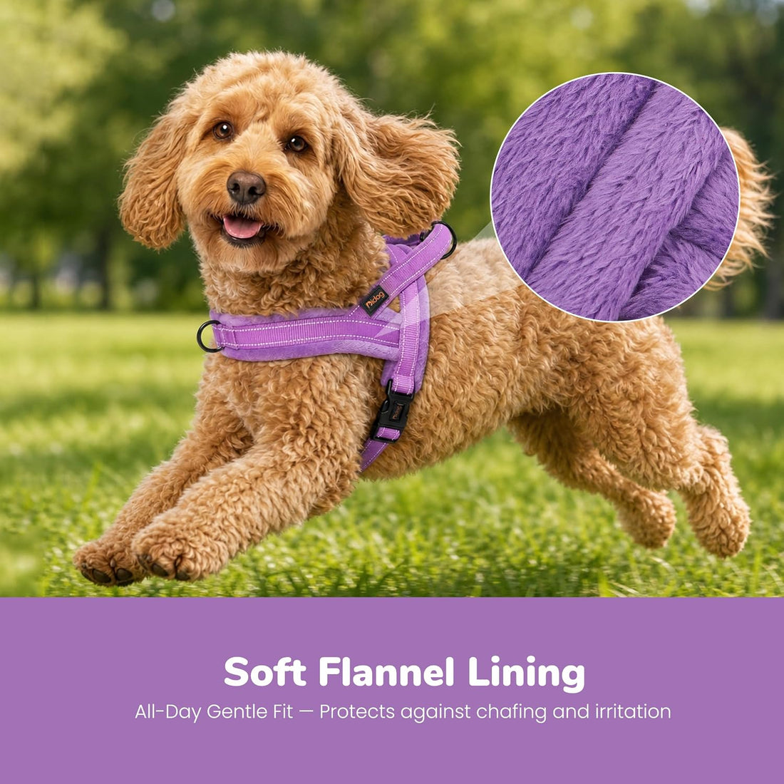 Didog No Pull Dog Harness for Small Dogs, Soft Flannel Padded, Purple