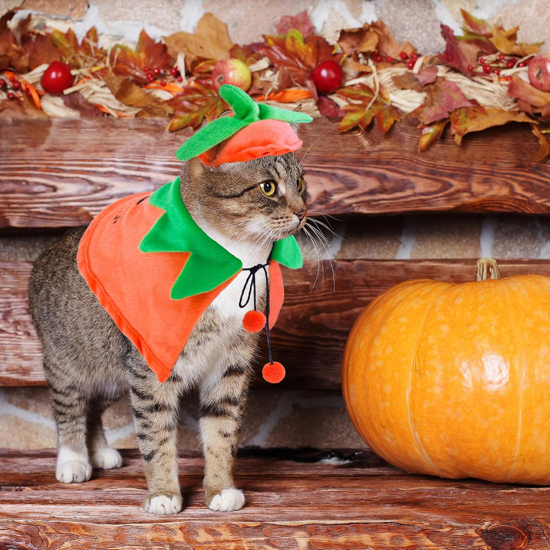 ADOGGYGO Cat Halloween Pumpkin Costume, Halloween Cat Cloak Hat Set