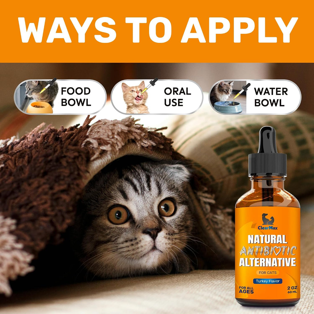 Antibiotics for Cats in Drops – Сat Respiratory Infection Treatment