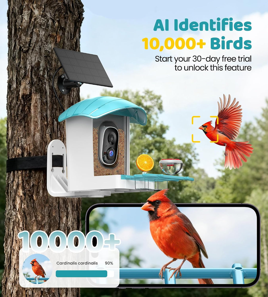 Bird Feeder with Camera Solar Powered