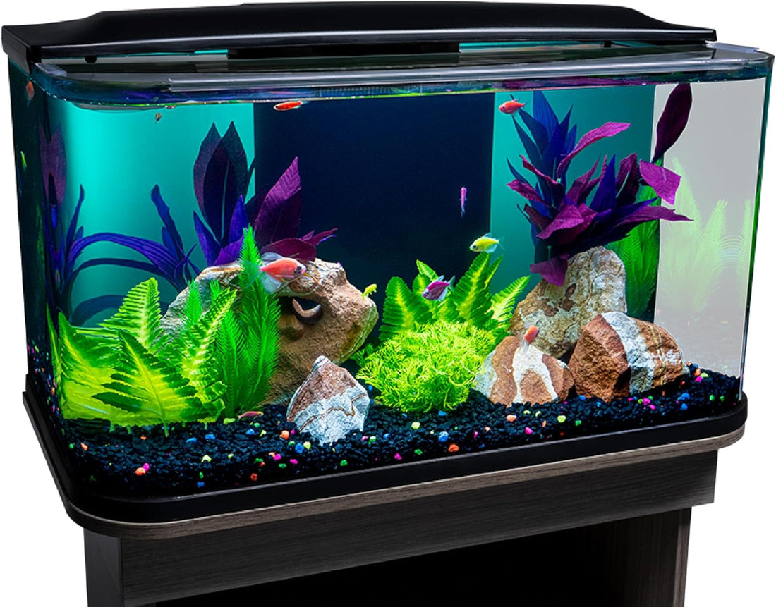 GloFish 20 Gallon Premium Fish Tank Kit