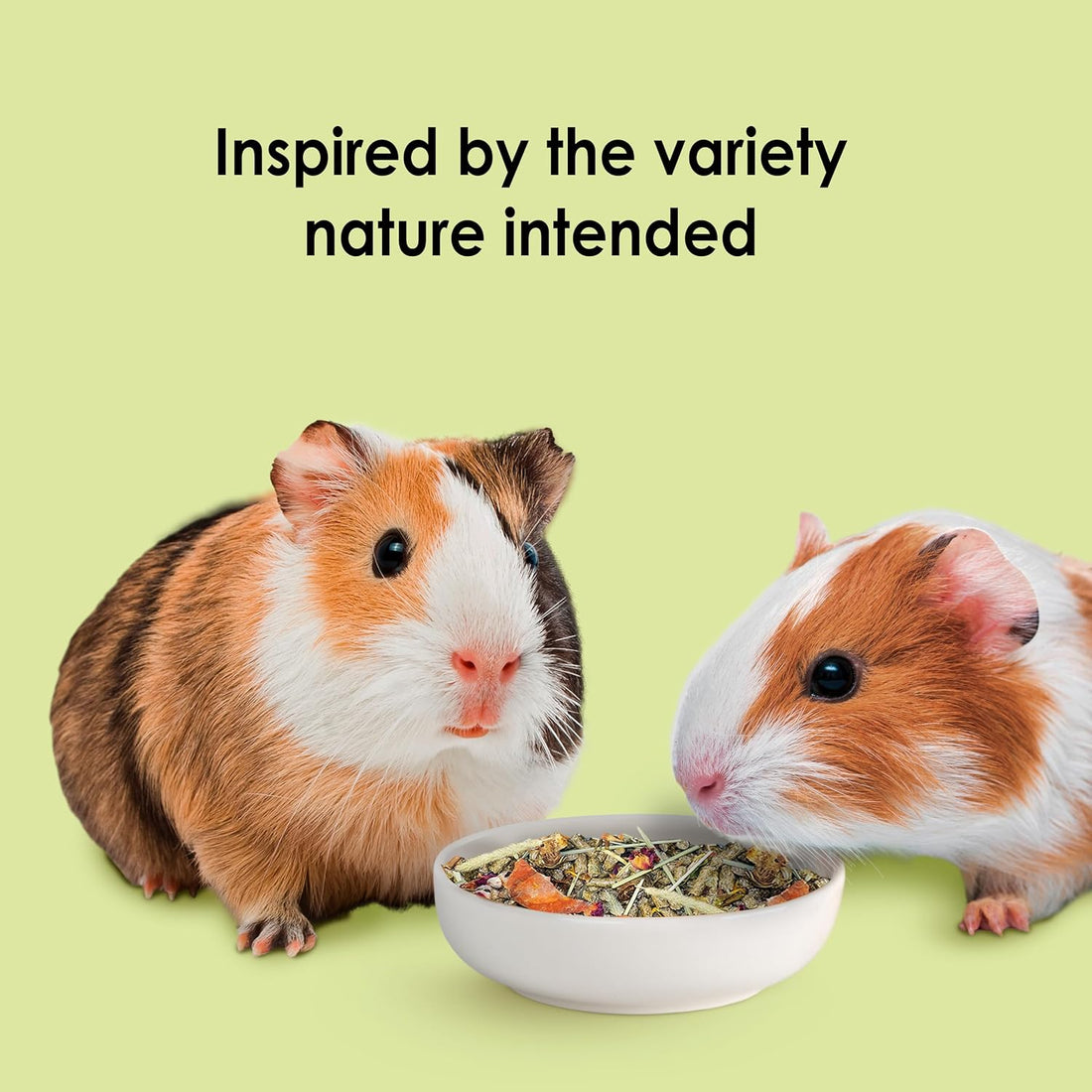 Kaytee Food from the Wild Guinea Pig Food, Timothy Hay, 4 Pounds