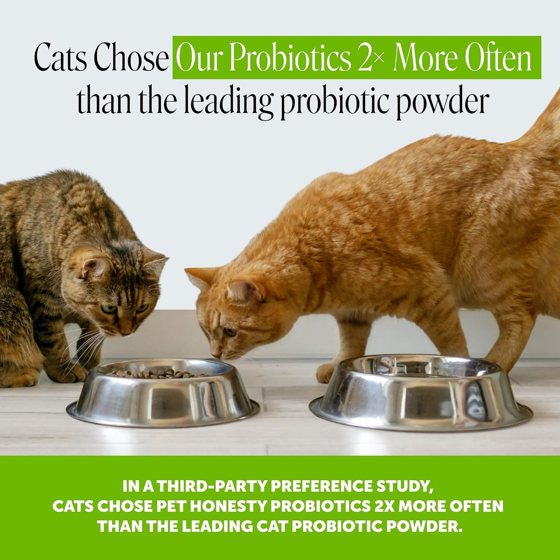 Pet Honesty Vet Backed Cat Probiotic Chews, Chicken, 30-Day Supply