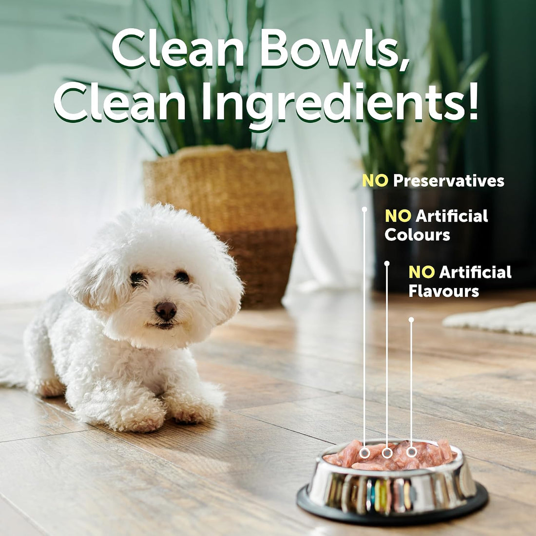 Nature's Protection Superior Care Wet Dog Food