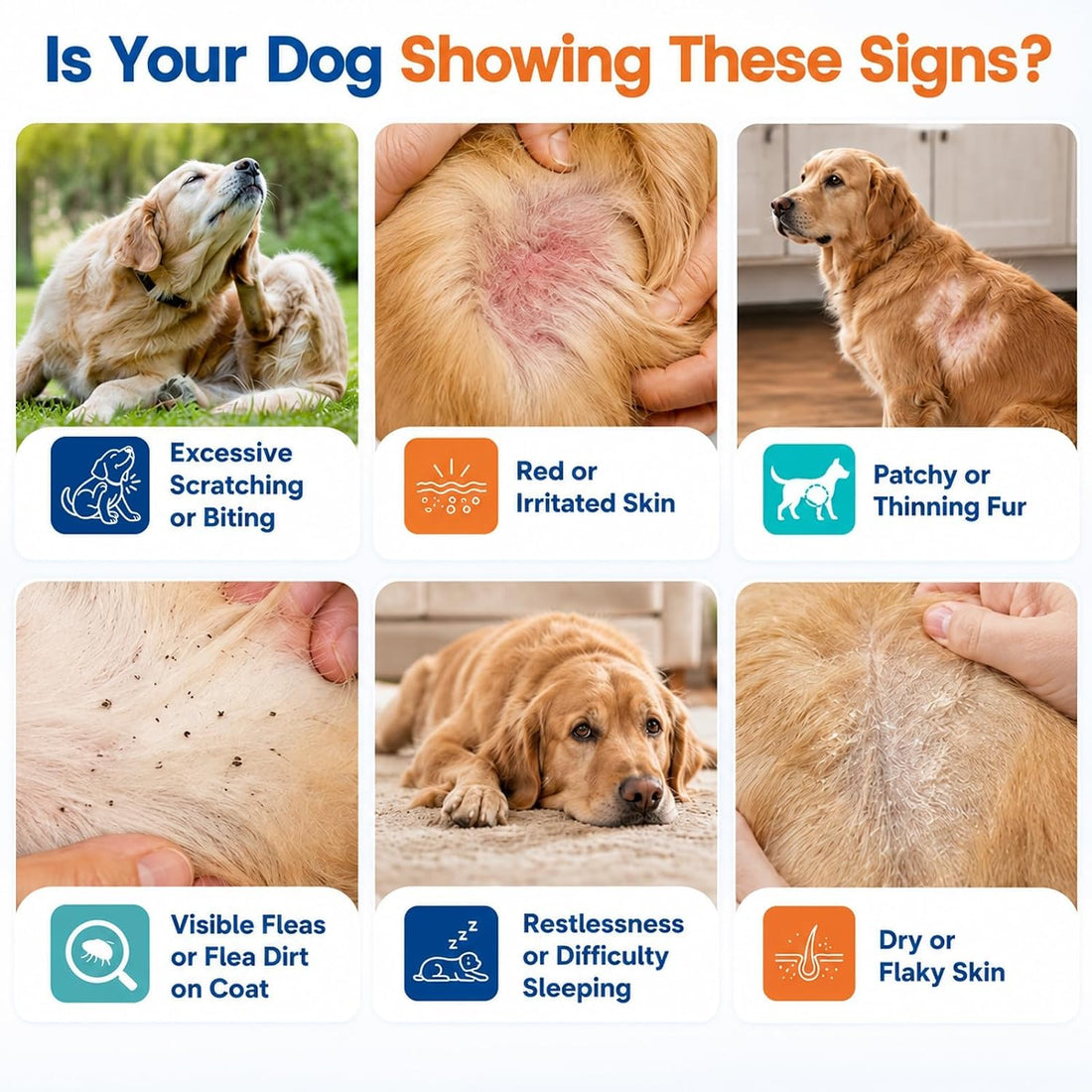 Carmelie Flea and Tick Prevention for Dogs