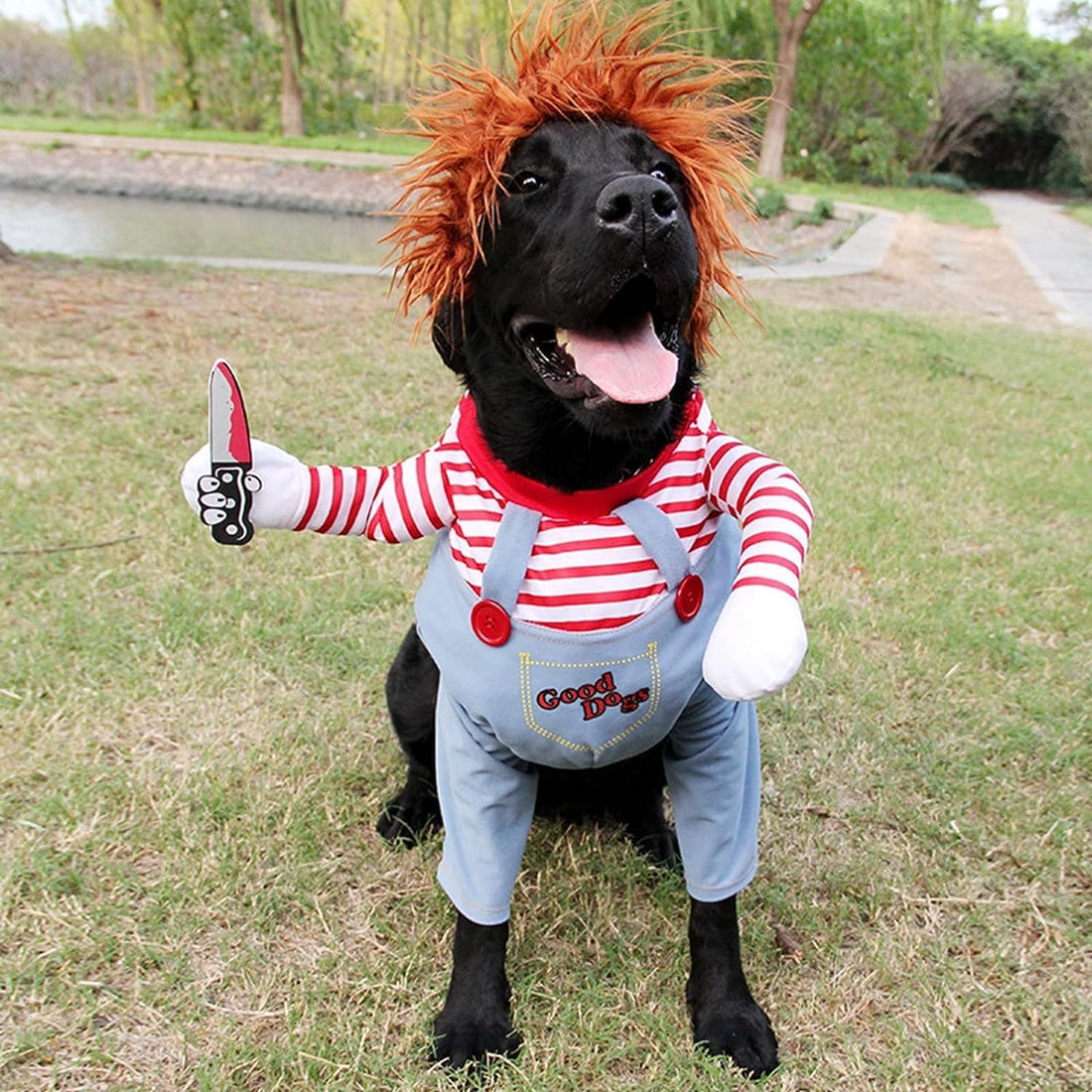 GOYOSWA Dog Halloween Costumes