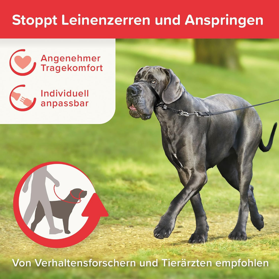 Beaphar Gentle Leader L Black 1 Piece - Dog Head Collar - Fabric