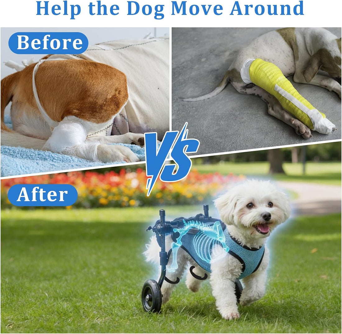 Dog Wheelchair for Back Legs - Adjustable Small Dog Wheelchair
