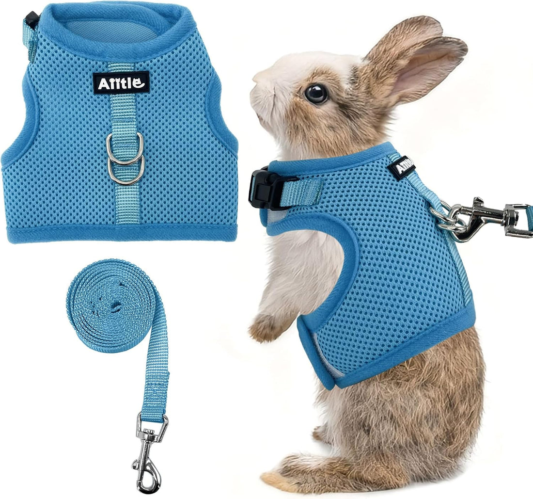 AIITLE Adjustable Rabbit and Leash Set - Lightweight & Portable